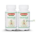 Gokshuradi Guggulu