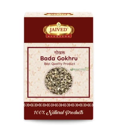 Bada Gokhru