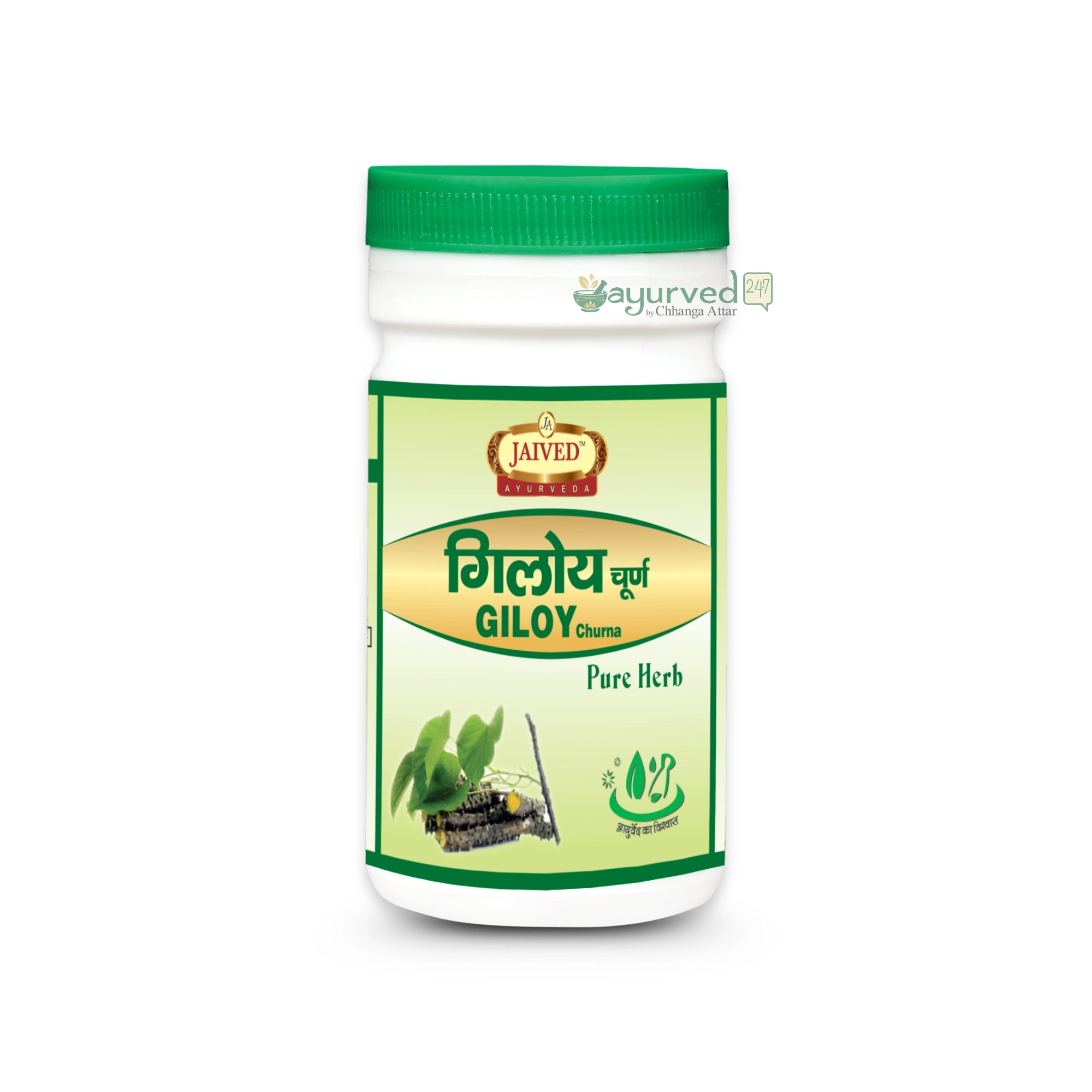 Giloy Churna