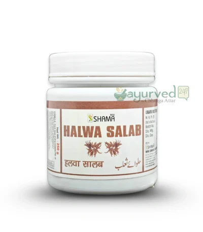Halwa E Salab