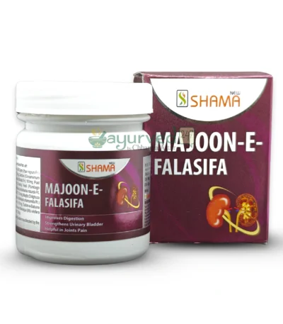 Majoon -E- Falasifa