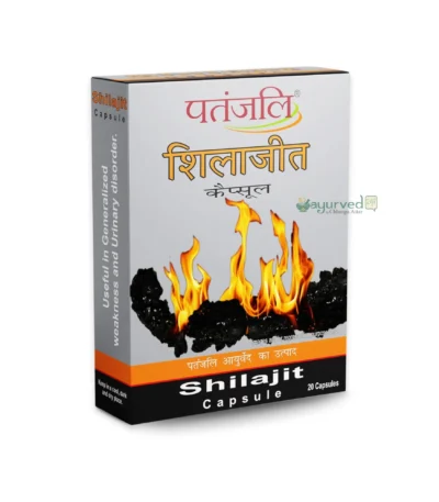 Shilajit Capsule