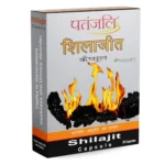 Shilajit Capsule